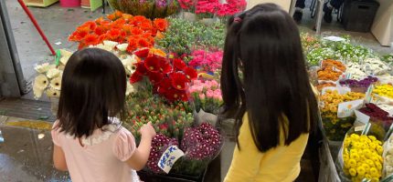 【蒙特梭利工作：插花】台北內湖花市超適合親子去買花