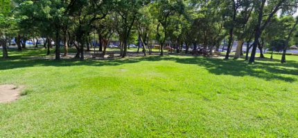 【台北南港野餐地點】免費接觸大自然，出遊就愛去野餐