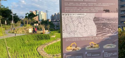 桃園免費親子戶外景點：大有梯田生態公園，多樣化場地超大