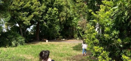 比能力發展更重要，選幼兒園最需要注意的事：我家發生的真實事件分享（上）