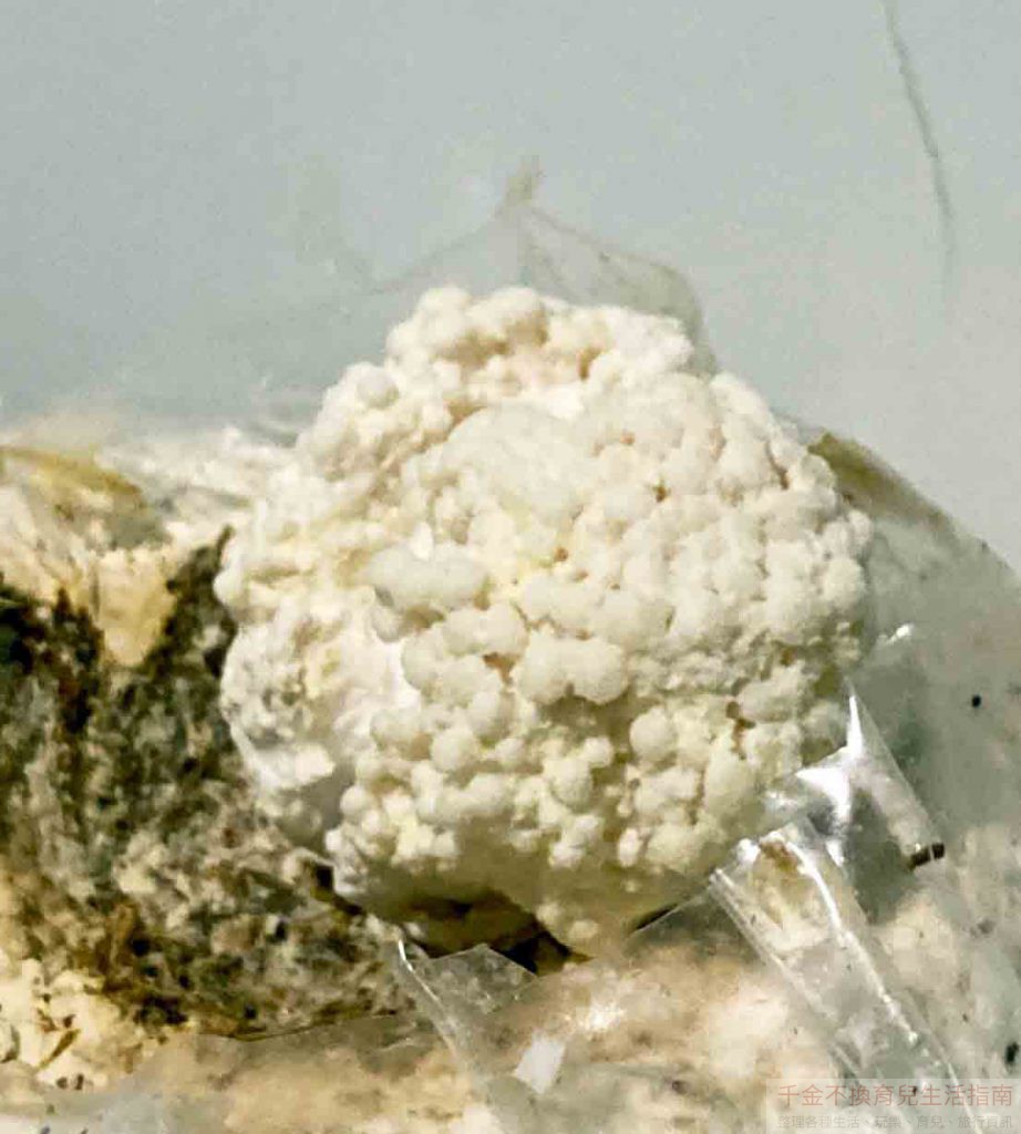 這不是發霉，不用挖掉