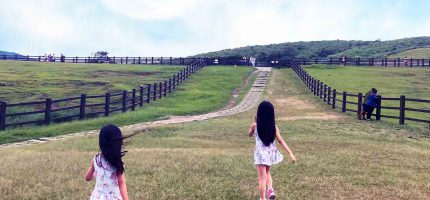從幼兒園回家的路上，每天都像這樣
